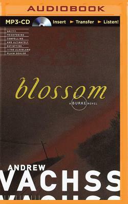 Blossom by Andrew Vachss