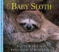 Baby Sloth by Aubrey Lang, Wayne Lynch