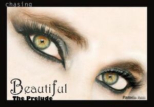 Chasing Beautiful: The Prelude by Pamela Ann