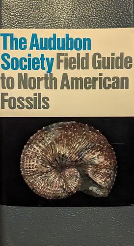 National Audubon Society Field Guide to Fossils: North America by National Audubon Society