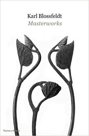 Karl Blossfeldt: Masterworks by Hansjörg Küster, Ann Wilde, Jürgen Wilde