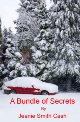 A Bundle Of Secrets by Jeanie Smith Cash