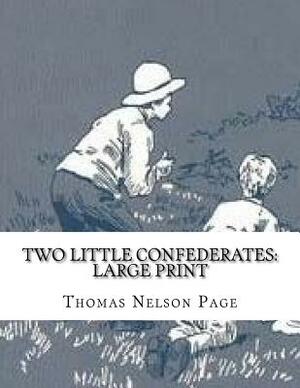 Two Little Confederates: Large Print by Thomas Nelson Page