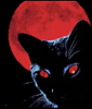 tatitab's profile picture