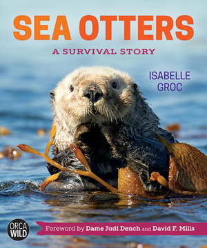 Sea Otters: A Survival Story by Isabelle Groc