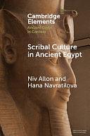 Scribal Culture in Ancient Egypt by Niv Allon, Hana Navratilova