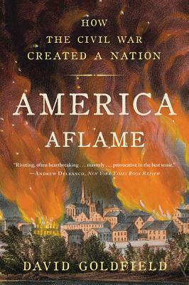 America Aflame: How the Civil War Created a Nation by David Goldfield