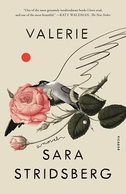 Valerie; or, The Faculty of Dreams: A Novel by Deborah Bragan-Turner, Sara Stridsberg