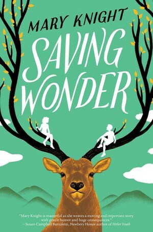 Saving Wonder by Mary Knight