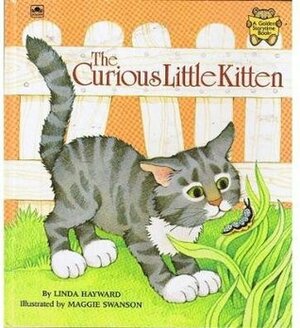 The Curious Little Kitten by Linda Hayward, Maggie Swanson