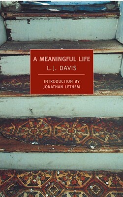 A Meaningful Life by L. J. Davis