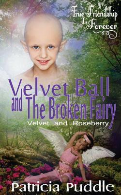 Velvet Ball and The Broken Fairy by Patricia Puddle
