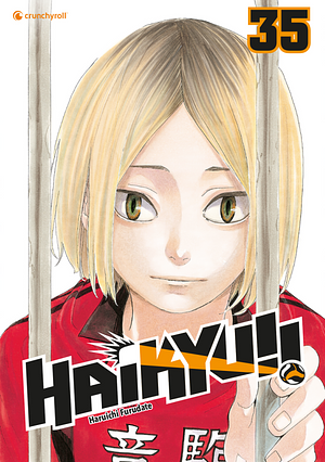 Haikyu!!, Band 35 by Haruichi Furudate