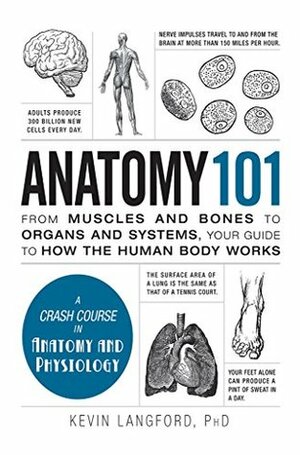 Anatomy 101: From Muscles and Bones to Organs and Systems, Your Guide to How the Human Body Works by Kevin Langford