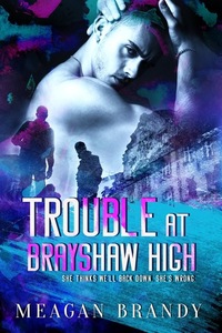 Trouble at Brayshaw High by Meagan Brandy