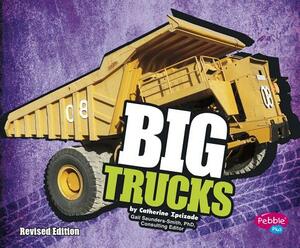 Big Trucks by Catherine Ipcizade