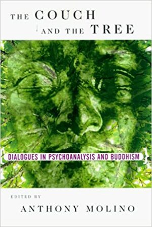 The Couch and the Tree: Dialogues Between Psychoanalysis and Buddhism by Anthony Molino