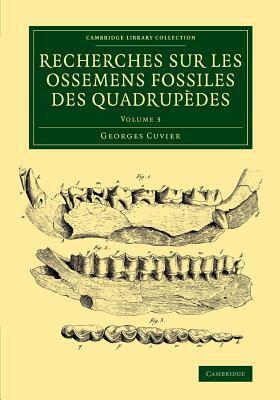 Recherches sur les ossemens fossiles des quadrupèdes - Volume 3 by Georges Cuvier