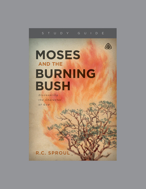 Moses and the Burning Bush by Ligonier Ministries