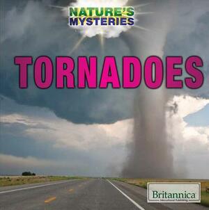 Tornadoes by Judy Monroe Peterson