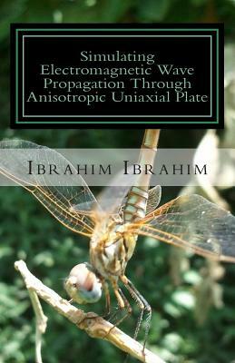 Simulating Electromagnetic Wave Propagation Through Anisotropic Uniaxial Plate: For Normal Incidence with Coordinate-Free Approach by Ibrahim Ibrahim