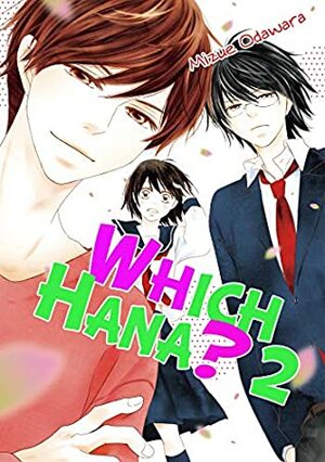 Which Hana Vol. 2 by Mizue Odawara