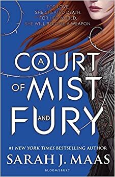 A Court of Mist and Fury by Sarah J. Maas