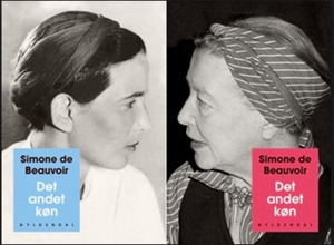 Det andet køn by Simone de Beauvoir