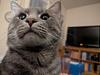katieschneider13's profile picture
