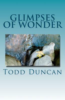 Glimpses of Wonder by Todd Duncan