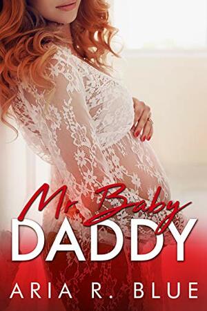 Mr. Baby Daddy: A Secret Baby Romance by Aria R. Blue