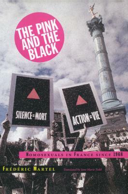 Pink and the Black: Homosexuals in France Since 1968 by Frédéric Martel