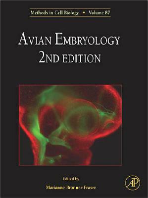 Avian Embryology by 