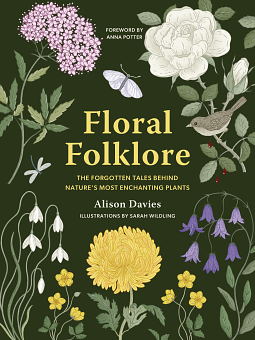 Floral Folklore: The Forgotten Tales Behind Nature's Most Enchanting Plants by Alison Davies