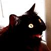 aamina's profile picture