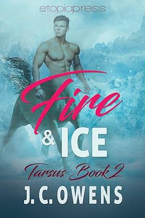 Fire and Ice by J.C. Owens
