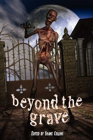 Beyond the Grave by Steven Gepp, Shane R. Collins, Lee Clark Zumpe