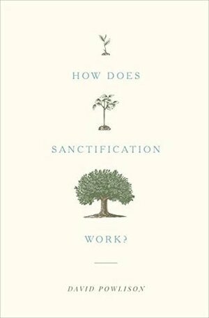 How Does Sanctification Work? by David A. Powlison
