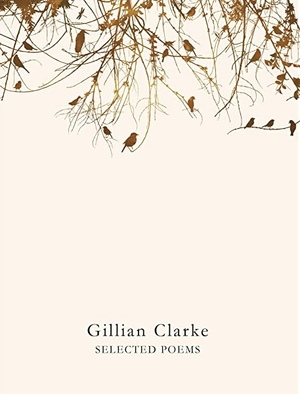 Selected Poems by Gillian Clarke