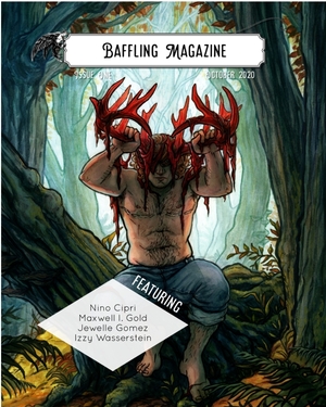 Baffling Magazine, Issue 1 by Craig L. Gidney