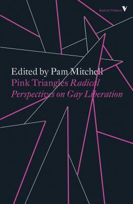 Pink Triangles: Radical Perspectives on Gay Liberation by Pam Mitchell