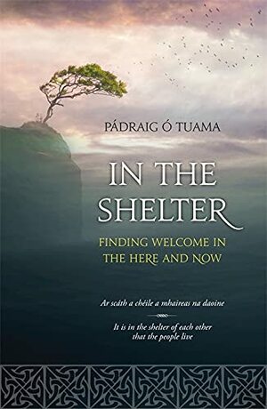 In The Shelter by Pádraig Ó Tuama