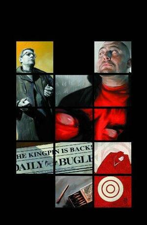 The Murdock Papers by Brian Michael Bendis, Alex Maleev