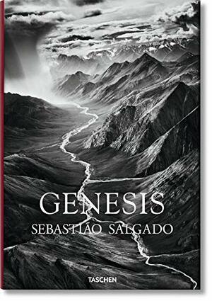 Genesis by Leila Wanick Salgado