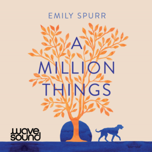 A Million Things by Emily Spurr