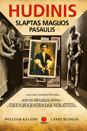 Hudinis. Slaptas magijos pasaulis by William Kalush