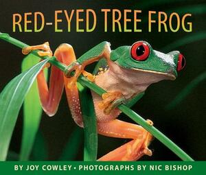 Red-Eyed Tree Frog by Joy Cowley