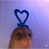 hindyjoyce's profile picture
