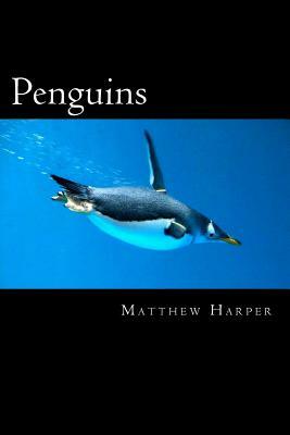 Penguins: A Fascinating Book Containing Penguin Facts, Trivia, Images & Memory Recall Quiz: Suitable for Adults & Children by Matthew Harper