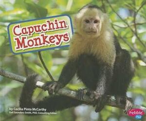 Capuchin Monkeys by Cecilia Pinto McCarthy